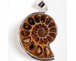 Photo of ammonite silver pendant